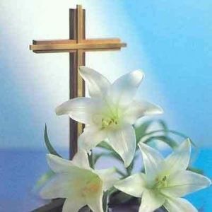 Meet your Posher, La donna